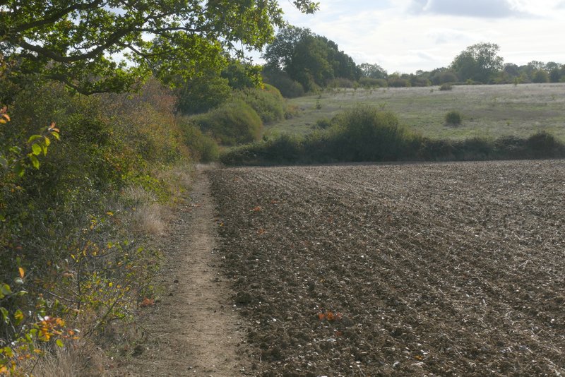 Picture omitted